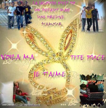 montage1